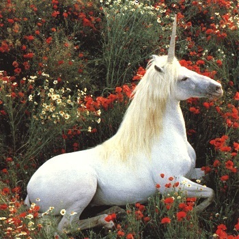 unicorn72.jpg